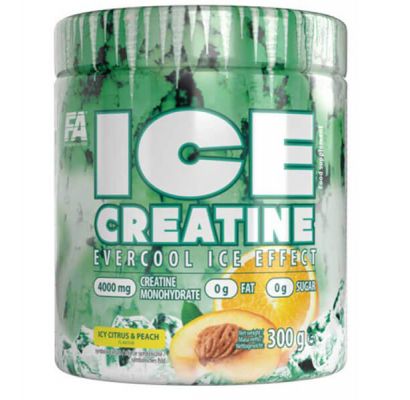 FA ICE Creatine 300g